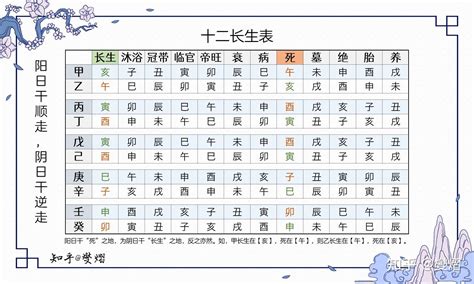 長生位|八字十二長生解讀——長生